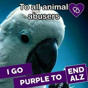 Meet your Posher, Carolyn